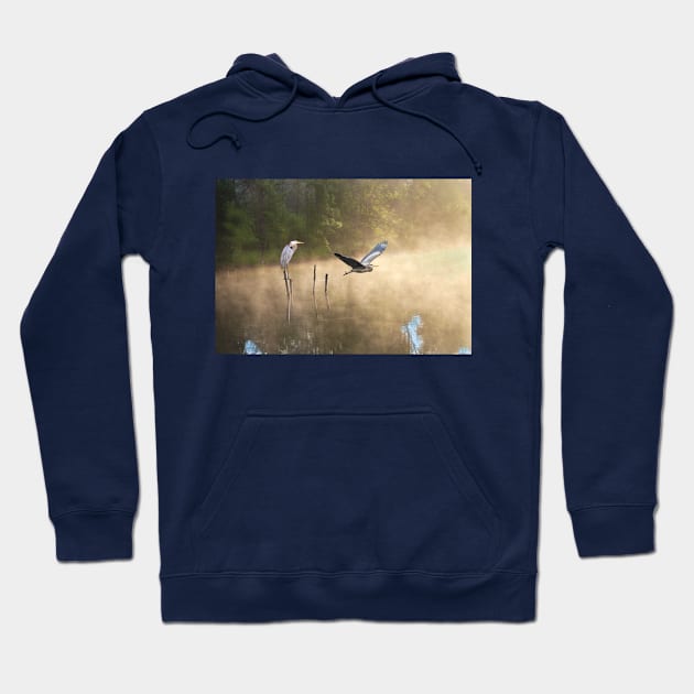 Great Blue Herons at Morning Pond Hoodie by lauradyoung